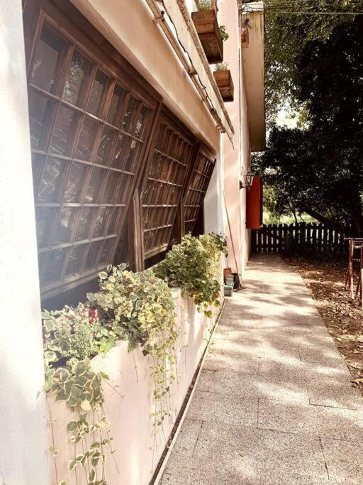 Raffinatezza Rustica Nella Campagna Veneziana Apartment Canton  Exterior foto