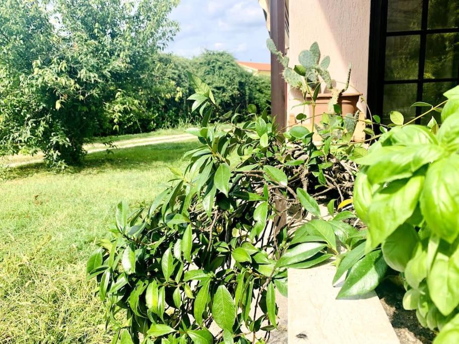 Raffinatezza Rustica Nella Campagna Veneziana Apartment Canton  Exterior foto